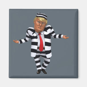 Aimant Trump en prison