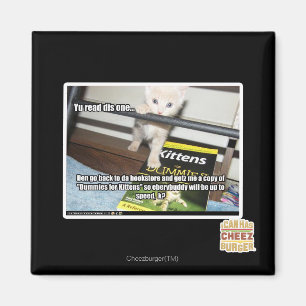 Aimant Tu es rouge, dis-en un.