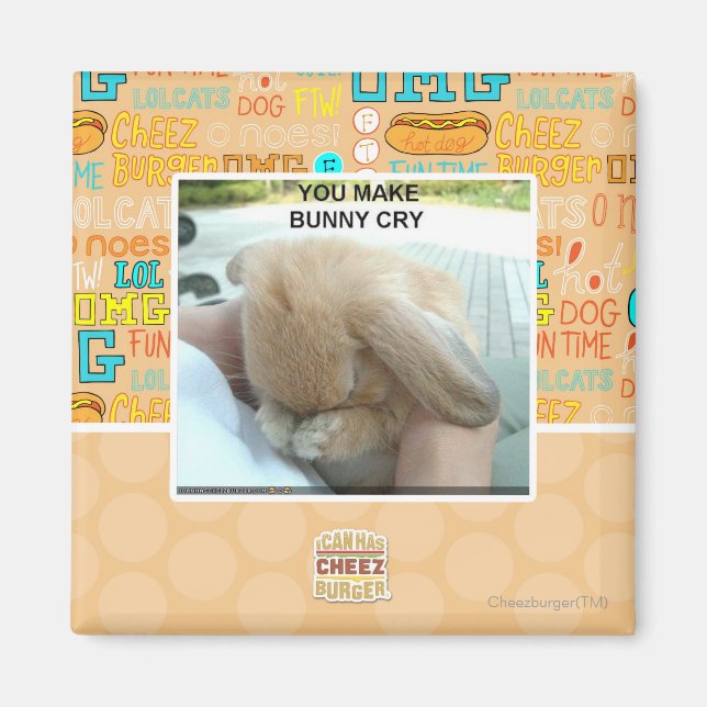 Aimant Tu fais pleurer le lapin (Devant)