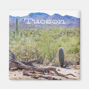 Aimant Tucson Arizona