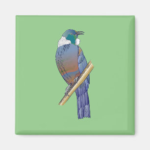 Aimant Tui New Zealand Bird