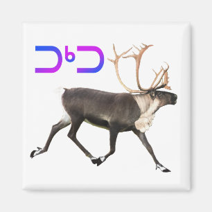 Aimant Tuktu - Caribou