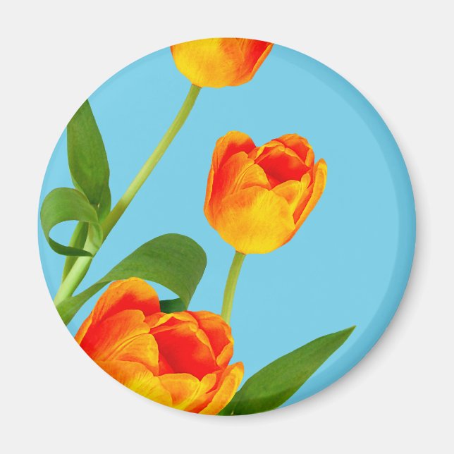 Aimant Tulipe orange (Devant)