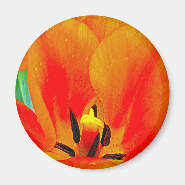Aimant Tulipe orange (Devant)