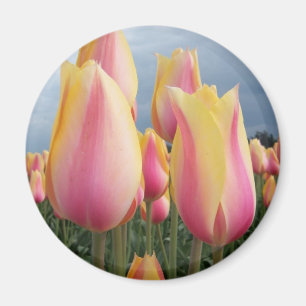 Aimant Tulipes de rougissement de beauté
