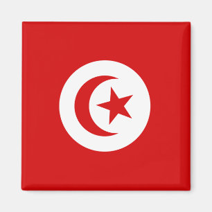 Aimant Tunisie