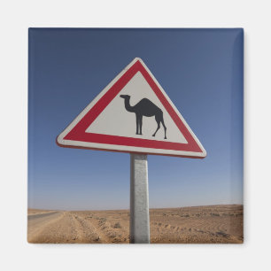 Aimant Tunisie, région des Ksour, Ksar Ghilane, Grand Erg