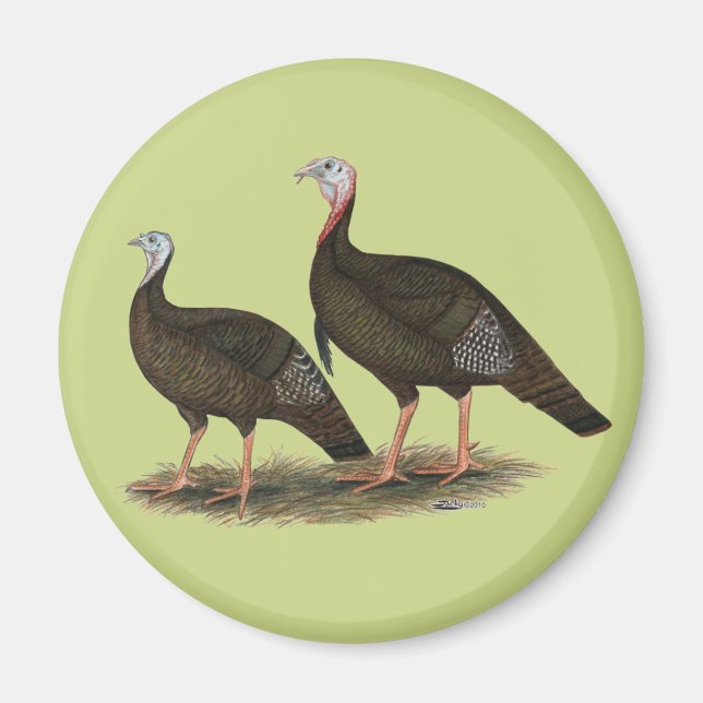 Aimant Turkeys Eastern Wild Pair (Devant)