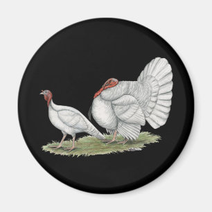 Aimant Turkeys White Hollands