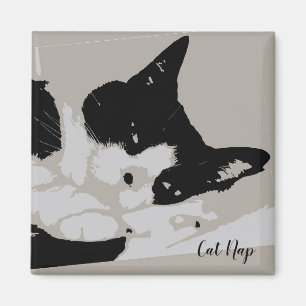 Aimant Tuxedo Cat Nap