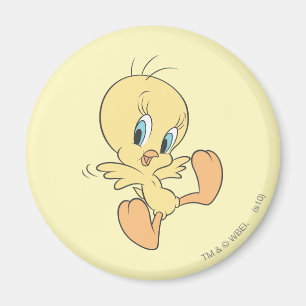 Aimant Tweety In The Nuds Pose 13