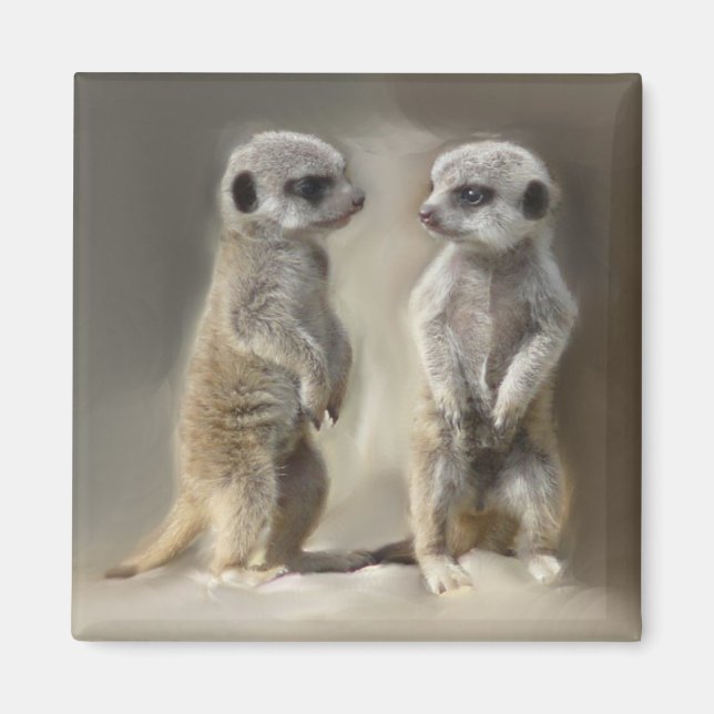 Aimant Twin bébé Meerkats (Devant)