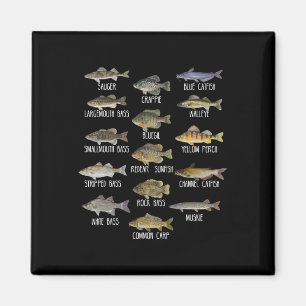 Aimant Types D'Espèces De Poissons D'Eau Douce Biologie P