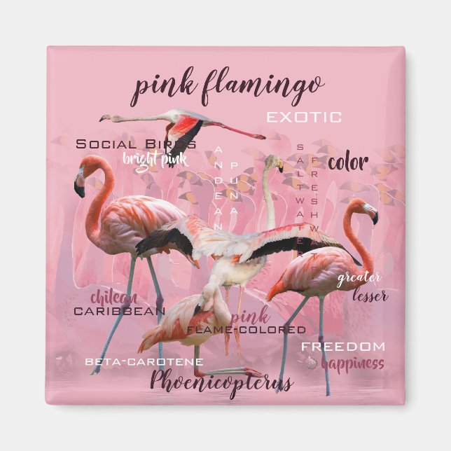 Aimant Typographe rose Flamingo | Customized (Devant)