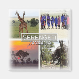 Aimant TZ0020 Afrique, Tanzanie, Serengeti N.P. Fridge
