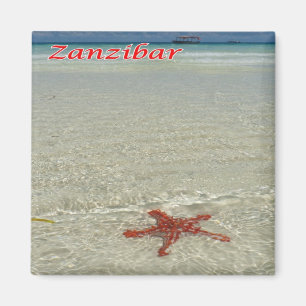 Aimant TZ - Tanzanie - Zanzibar - Poisson rouge