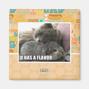 AIMANT U A UNE SAVEUR