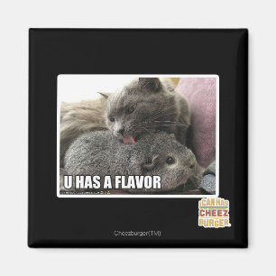 AIMANT U A UNE SAVEUR