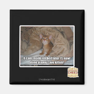 Aimant U peut maek le lit plus tard