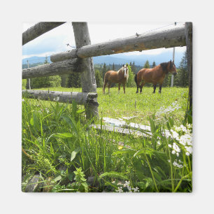 Aimant Ukraine : dans les Carpates