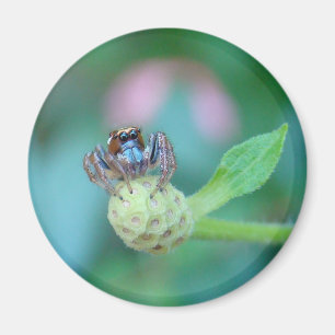 Aimant Un Ami Du Jardin !