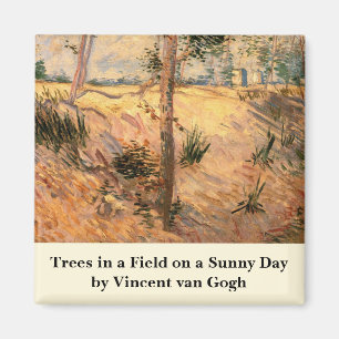Aimant Un arbre dans un champ pendant la journée ensoleil