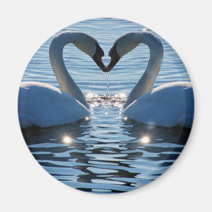 Aimant Un baiser du coeur du cygne, réflexions sur l'amou