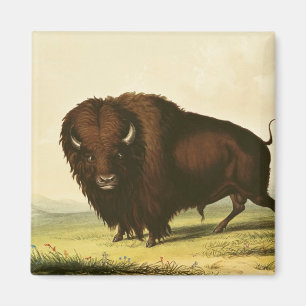 Aimant Un bison, c.1832