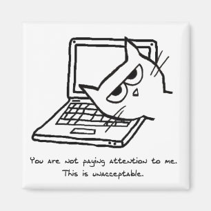 Aimant Un Chat En Colère Demande De L'Attention - Drôle A