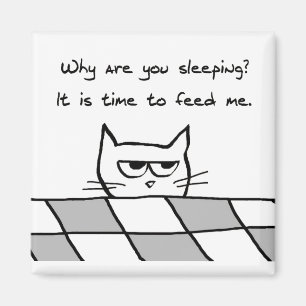 Aimant Un chat en colère veut que tu sois sorti du lit