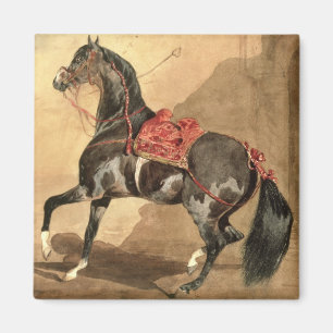 Aimant Un cheval Arabe (la semaine fixé sur le papier)