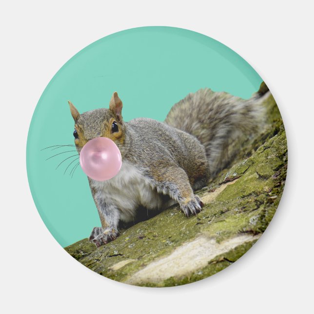 Aimant Un écureuil souffle une bulle photo d'un animal (Devant)