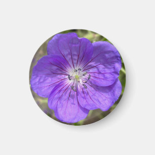 Aimant Un indice d'aimant "Floral pourpre" Z