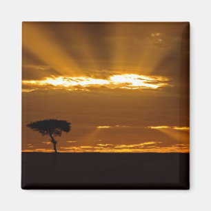 Aimant Un lever de soleil bouche ouverte dans le Maasai M