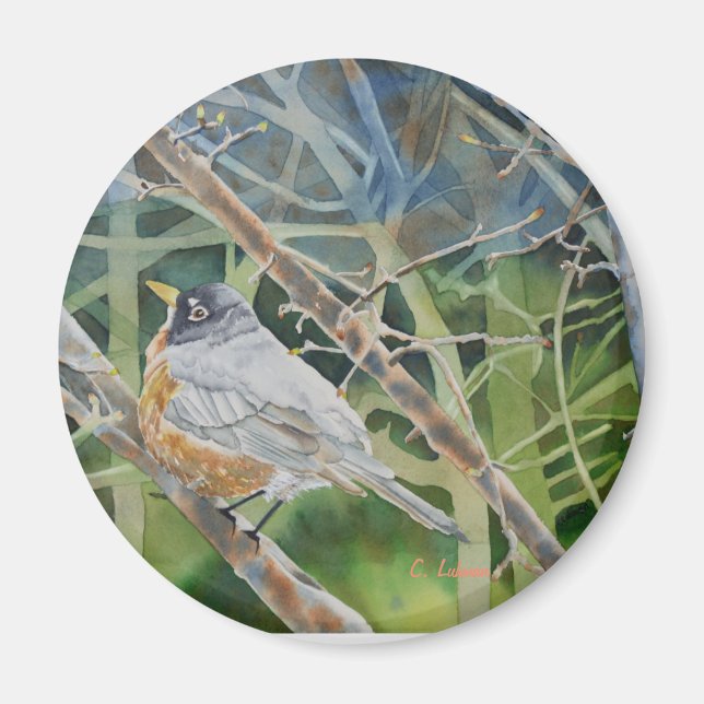 Aimant Un oiseau Robin en brindilles sur un arbre (Devant)