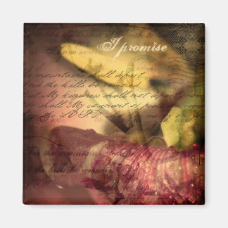 Aimant Un pacte de paix