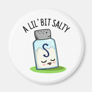 Aimant Un Petit Peu Salé Drôle Sel Shaker Pun