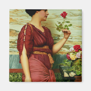 Aimant Un rose rouge et rouge