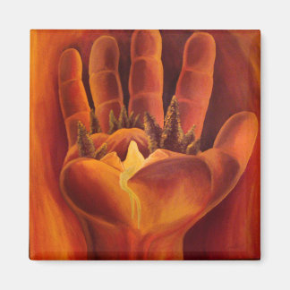 Aimant Un solde délicat