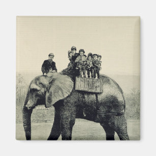 Aimant Un tour d'adieu sur l'éléphant