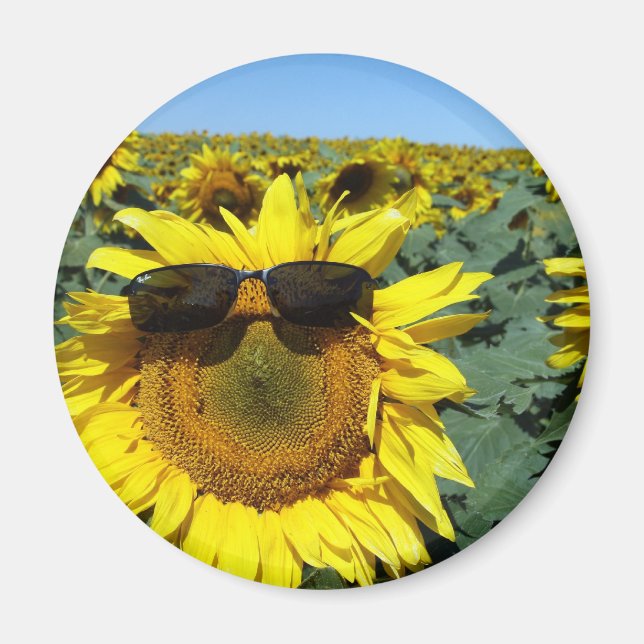 Aimant Un visage dans la foule (Devant)