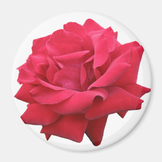 Aimant Une rose rouge classique