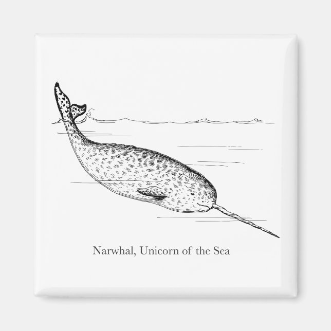 Aimant Unicorne de baleine de Narwhal de la mer (Devant)