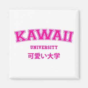 AIMANT UNIVERSITÉ DE KAWAII