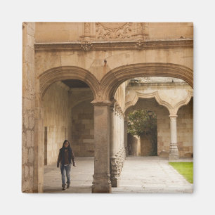 Aimant University of Salamanca