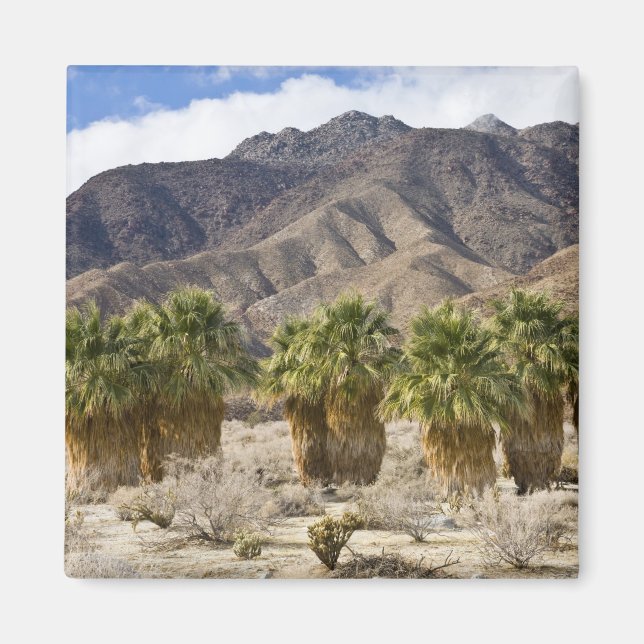 Aimant USA, Californie, Anza-Borrego Desert State Park. (Devant)