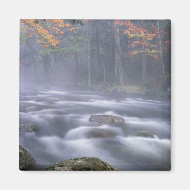 Aimant USA, New York, Adirondacks, Big Moose River (Devant)