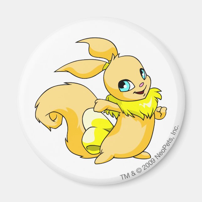 Aimant Usul jaune (Devant)