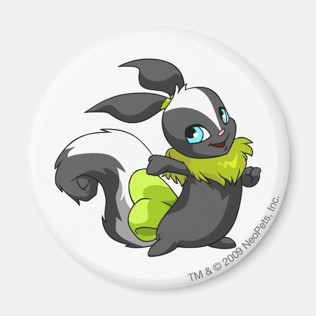 Aimant Usul Skunk (Devant)