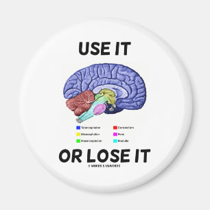 Aimant Utilisez-Le Ou Perdez-Le (Humour D'Anatomie Du Cer